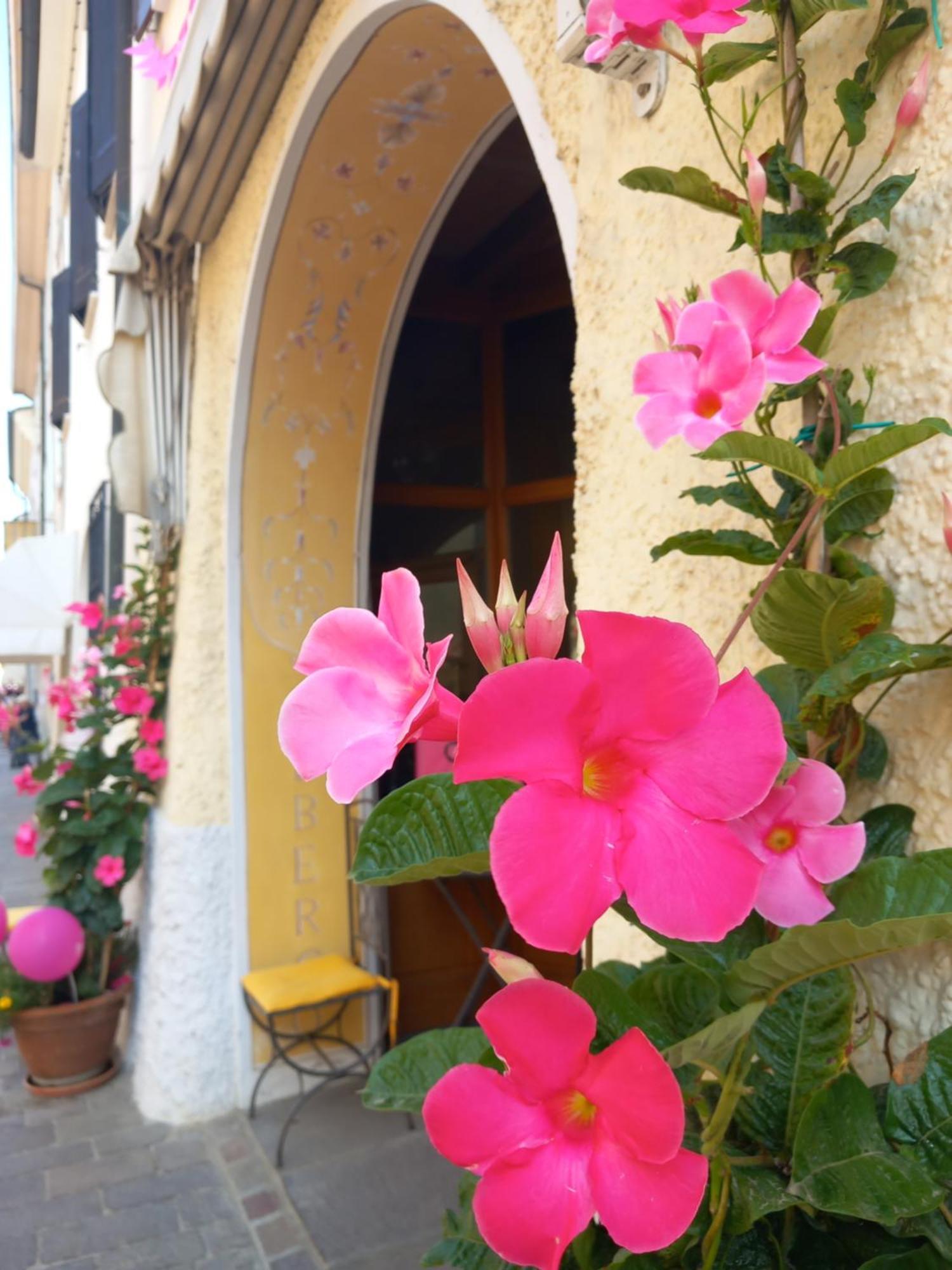 Albergo Giulia Gonzaga Sabbioneta Exterior foto